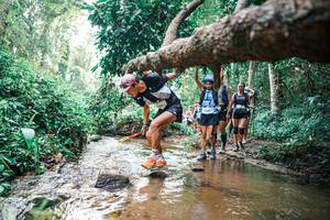 BIB: 
                            <button type="button" onclick="openModal(25369814)" class="btn btn-primary btn-sm float-right btn-popup" data-toggle="modal" data-target=".modal-high-quality">
                        <i class="fas fa-shopping-cart"></i> Add to Cart
                    </button>
                                            <button type="button" onclick="isThisMe(25369814, true)" class="btn btn-success btn-sm float-right btn-popup btn-isme hidden" data-toggle="tooltip" data-placement="bottom" title="นี่คือรูปของคุณใช่ไหม คลิกที่นี่เพื่อเอาเข้าอัลบั้ม">
                        <i class="fas fa-plus"></i> Add to album
                    </button>
                    <button type="button" onclick="isThisMe(25369814, false)" class="btn btn-warning btn-sm float-right btn-popup btn-isnotme hidden">
                        <i class="fas fa-ban"></i> Remove from album
                    </button>